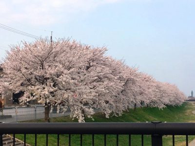 【長浜市神照の家】４月１４日(土)・４月１５日(日)完成現場見学会