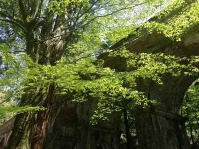 H様邸着々仕上がってきています♪