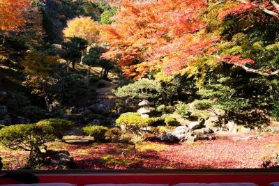 塗り壁の家☆社内検査