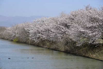 ベールを脱いだ　新モデルハウス【長浜市祇園町】