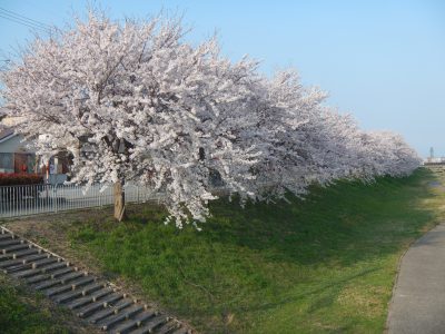 完成間近　黒のキューブ型　Ｔ様邸【大津市】